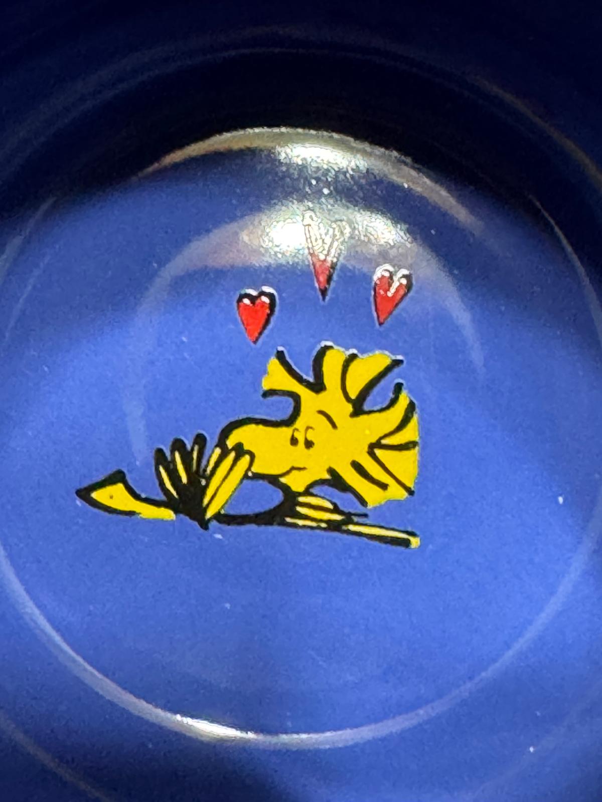 Snoopy Mug - Taza Snoopy