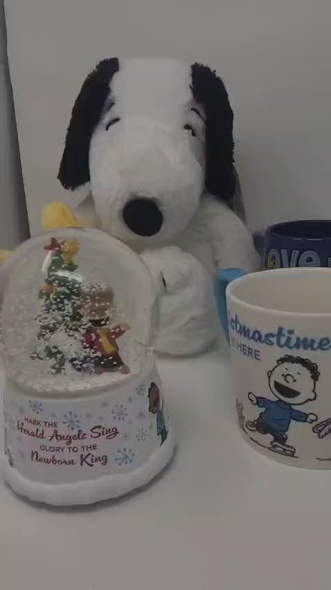 Combo Peanuts Snoopy